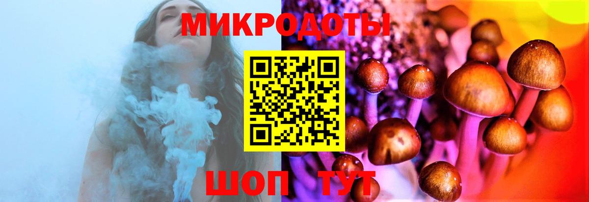 Псилоцибиновые грибы GOLDEN TEACHER Шатура