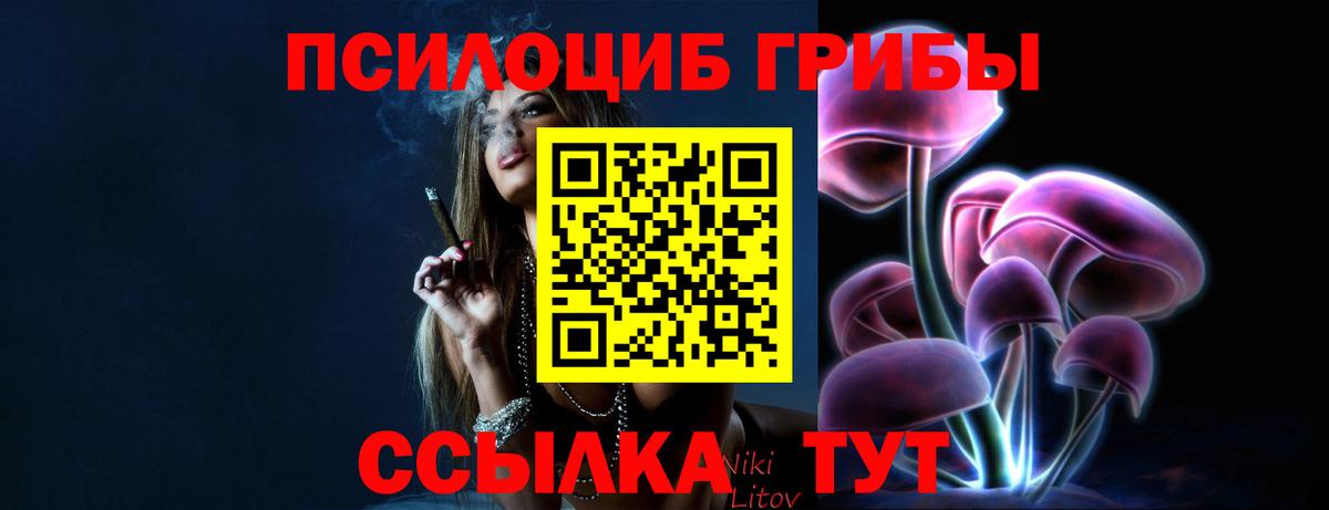 Галлюциногенные грибы ЛСД  Вход с VPN  Шатура  Галлюциногенные грибы GOLDEN TEACHER 